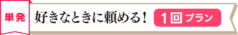 単発プラン